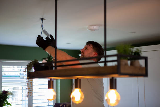 Best Electric Panel Repair  in Elroy, WI